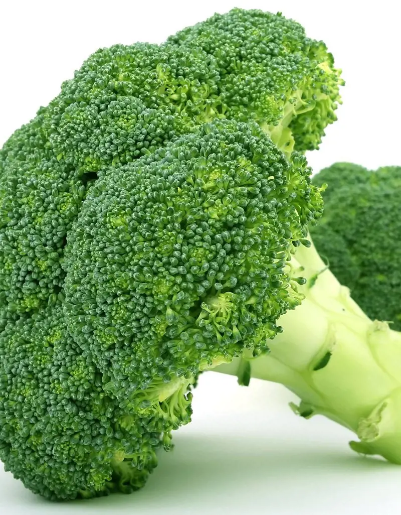 Aside iron, Broccoli is rich in Vitamin c, folic acid which helps in  the prevention of Cardiovascular Diseases.