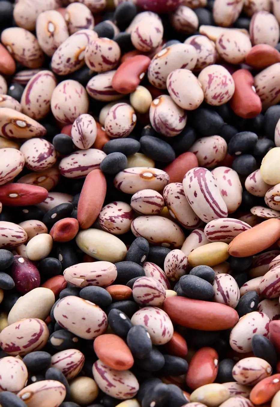 Legumes are packed with nutrients and play a role in controlling and managing various diseases, per Invigorate Healthily.