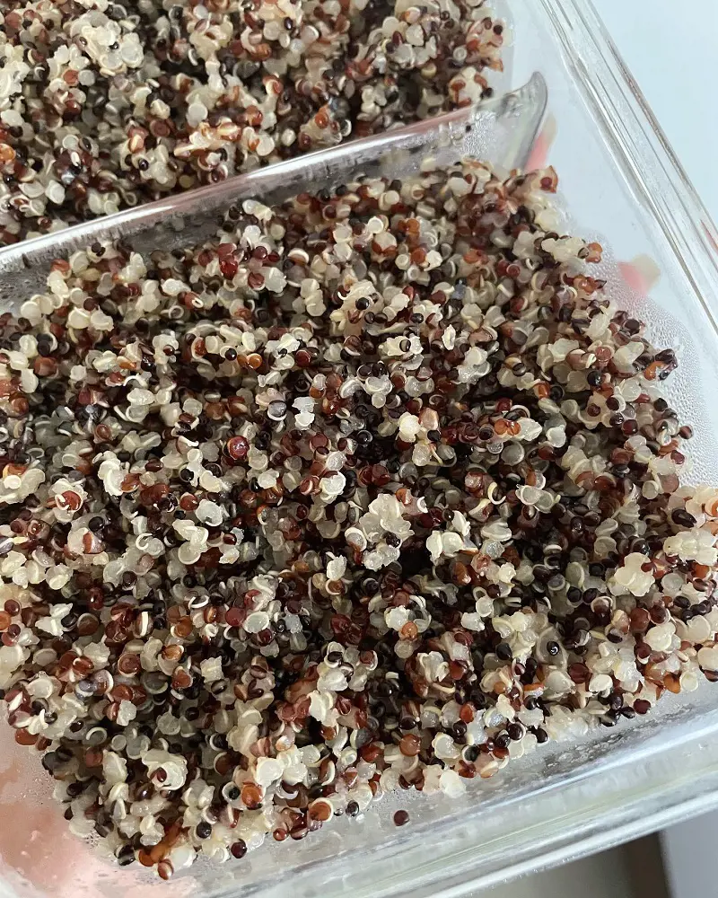 The tiny grain-like seed Quinoa packs some serious nutritional power as it is filled with iron, fiber, protein, and other nutrients