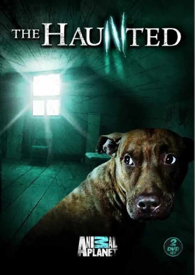 The Haunted is a 2009 paranormal documentary show that tells the terrifying story of the spirits 