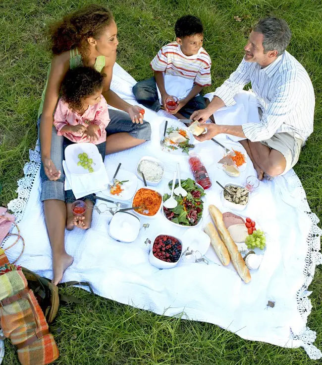 Going out in a picnic is also considered best way to celebrate labor day