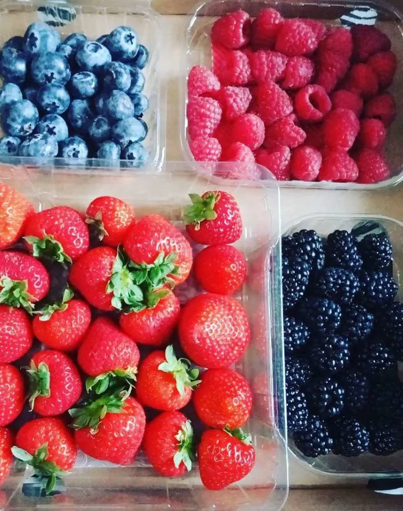 Berries provide potassium, magnesium, vitamins C and K, fiber, and prebiotics -carbohydrates