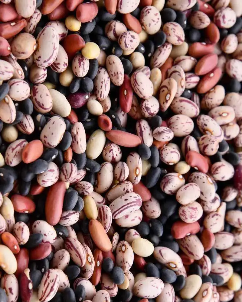 Legumes are a rich source of B vitamins, various minerals, protein and fiber