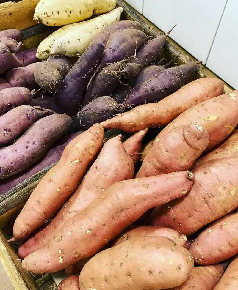 Sweet potatoes serve as a good plant-based source of beta-carotene and fiber