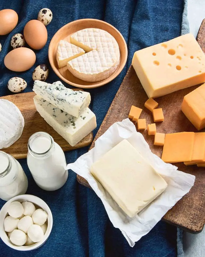 Dairy foods that are low in lactose, such as cheese (cheddar and Swiss), kefir, and yogurt, are good during pregnancy