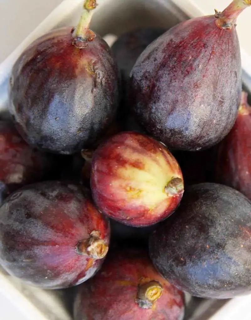 Fig helps eliminate all the bowel problems that pregnant women face